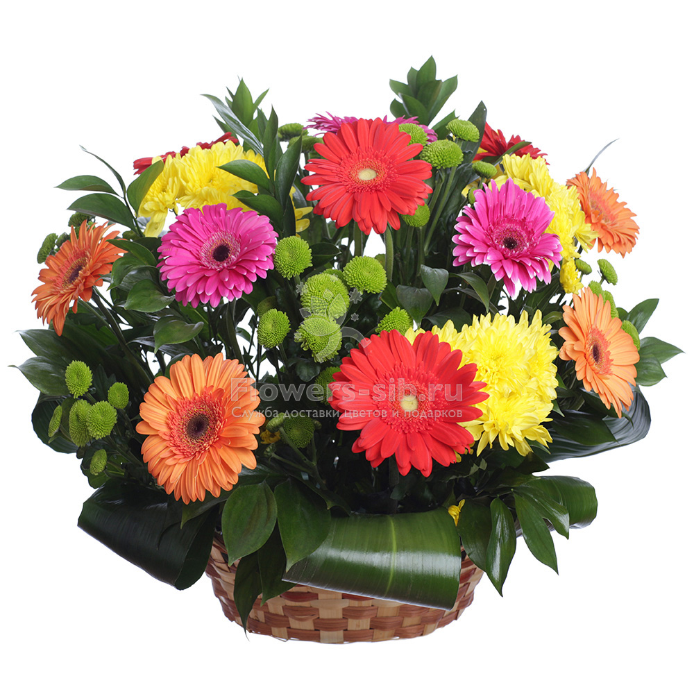 Basket with Gerberas 